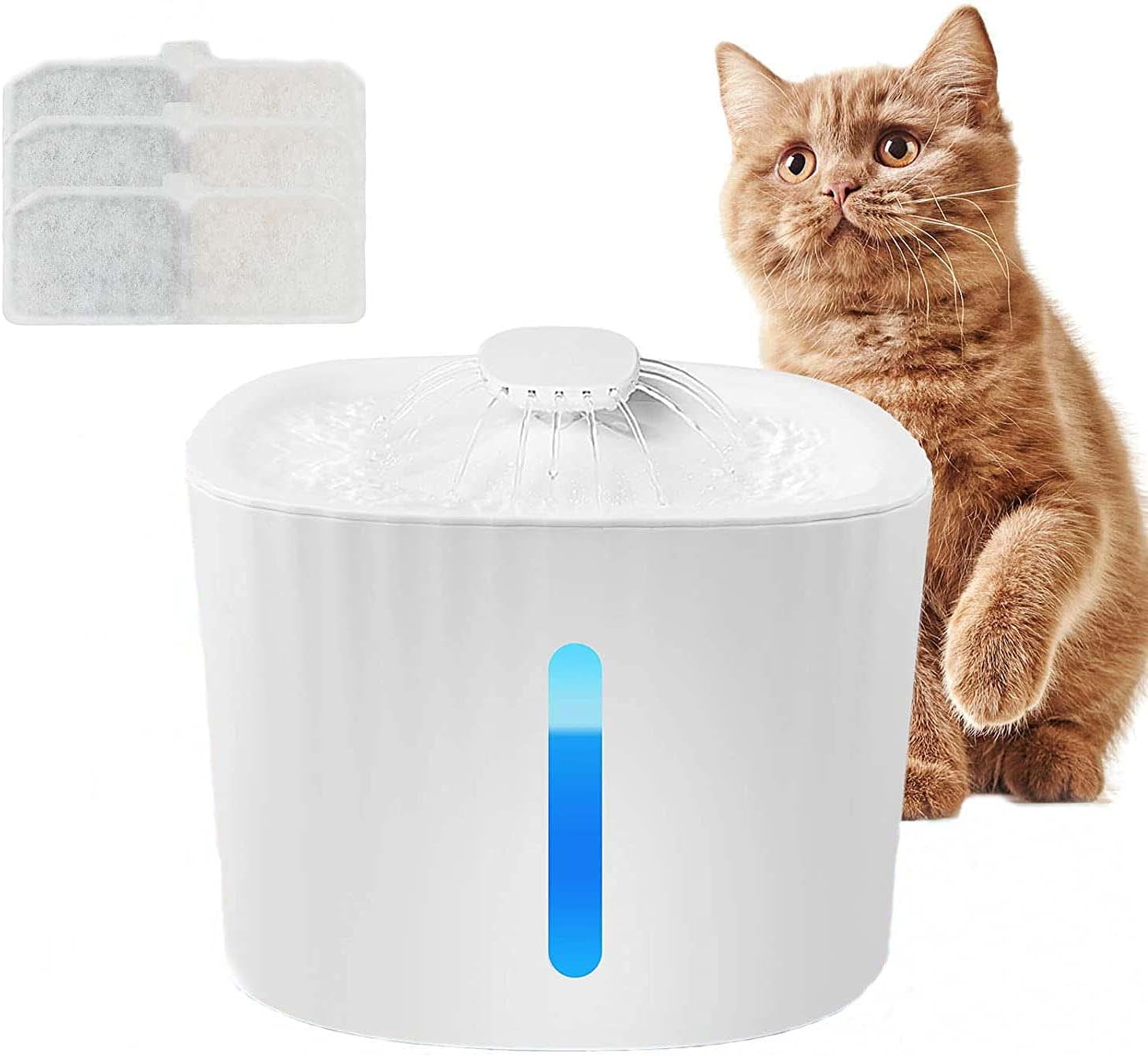 Fontana per Animali Domestici