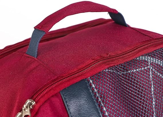 🕸️ Zaino Scuola & Tempo Libero Spider-Man