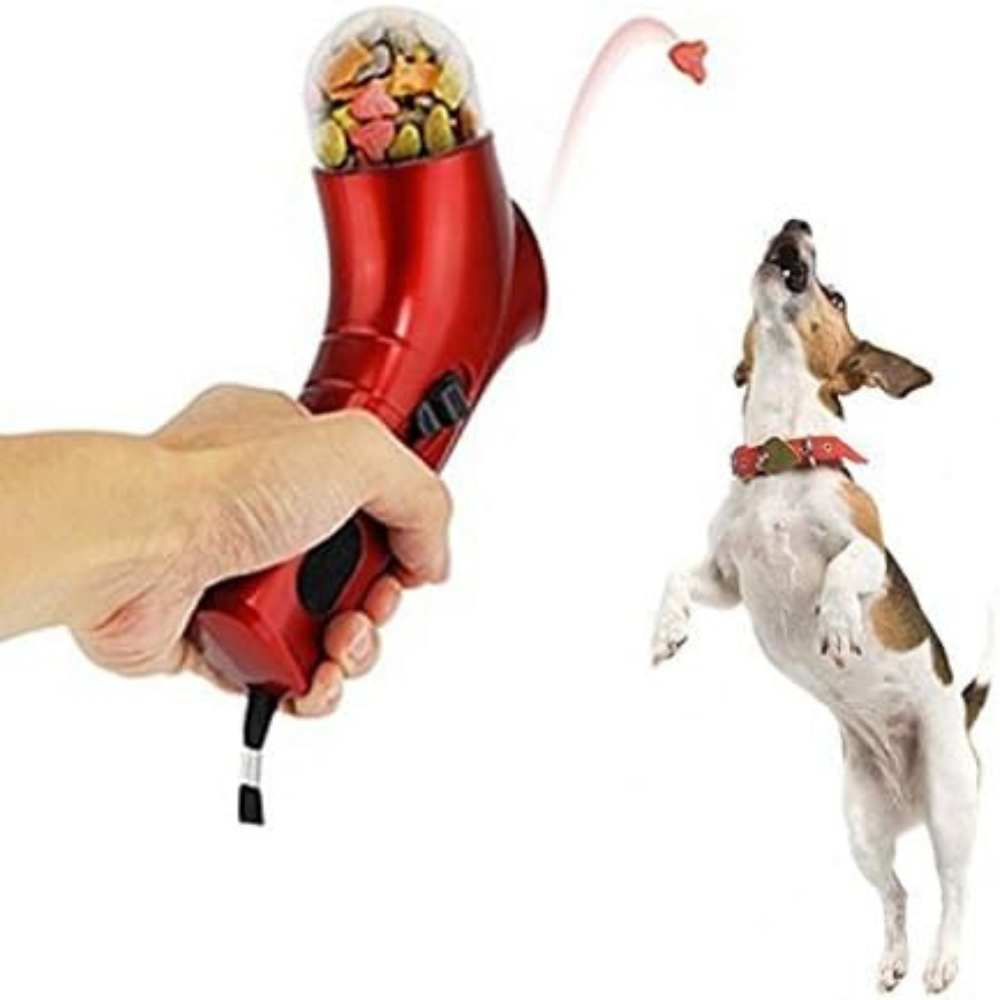 Lancia-Premi per Cani e Gatti – Mascow